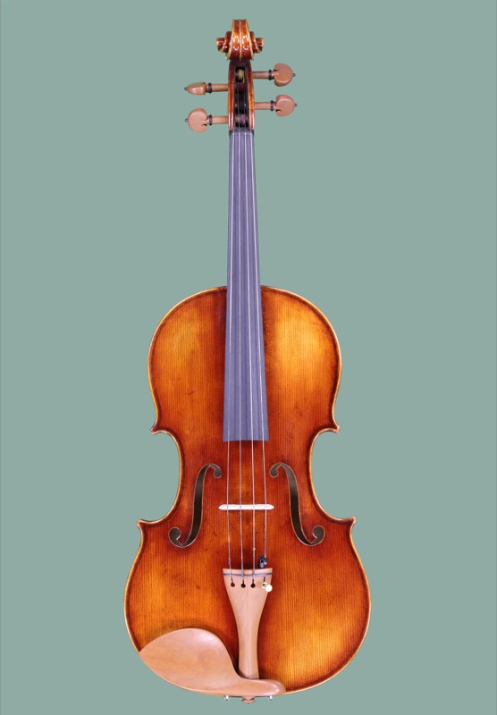 Model 905 intermediate viola view 1