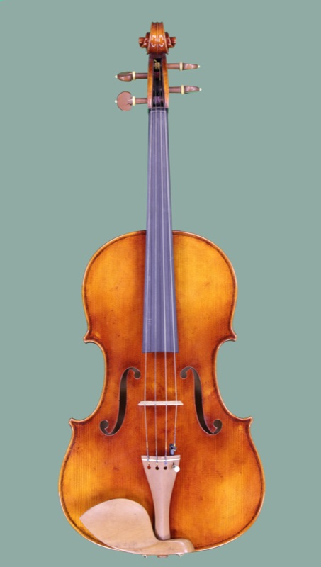 Model 909 advanced viola view 1